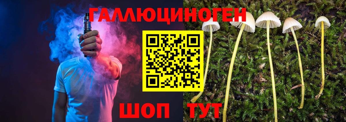 Псилоцибиновые грибы GOLDEN TEACHER Лабинск