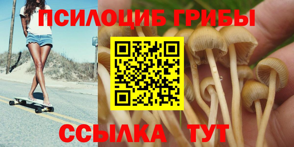 Псилоцибиновые грибы мицелий  Вход с VPN  Лабинск  Галлюциногенные грибы GOLDEN TEACHER 
